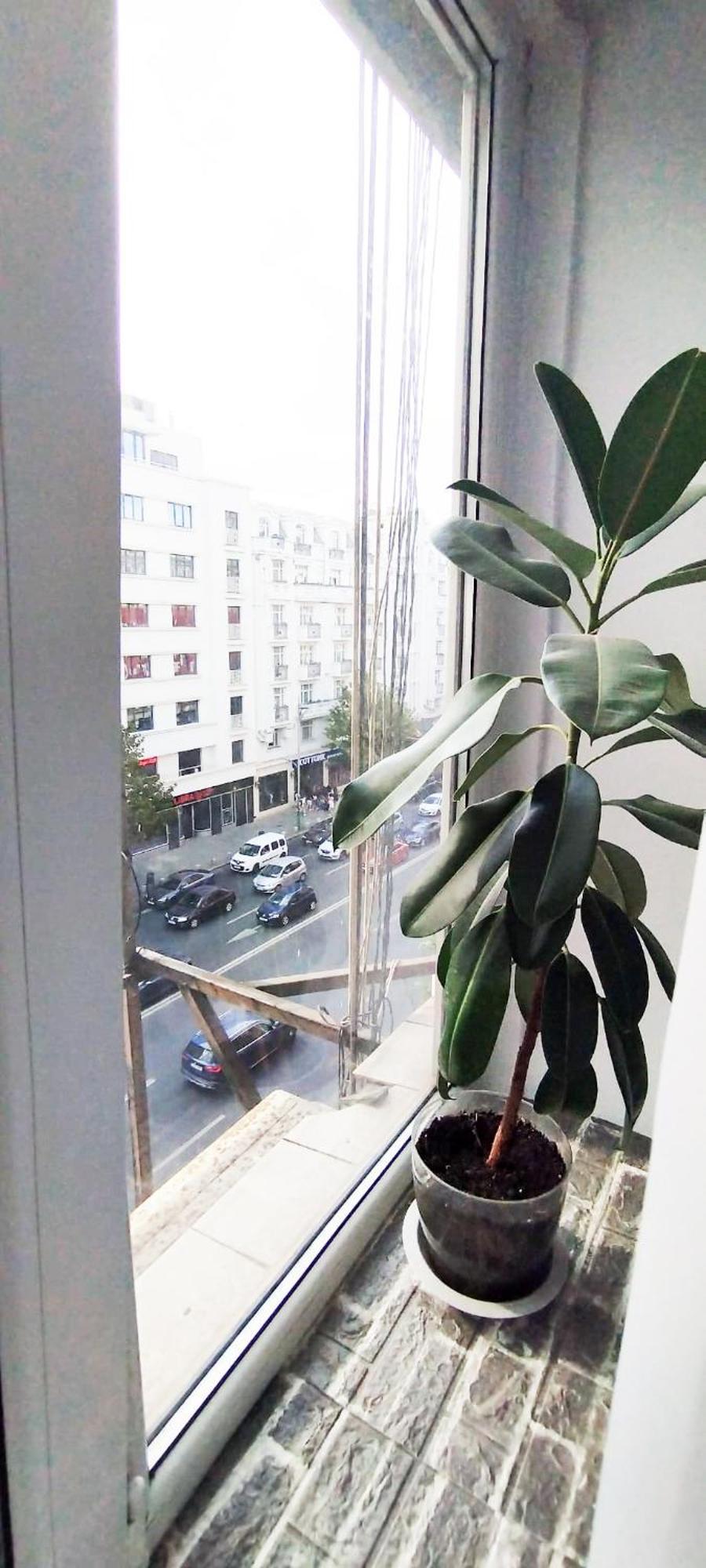 בוקרשט Cozy Studio Magheru מראה חיצוני תמונה